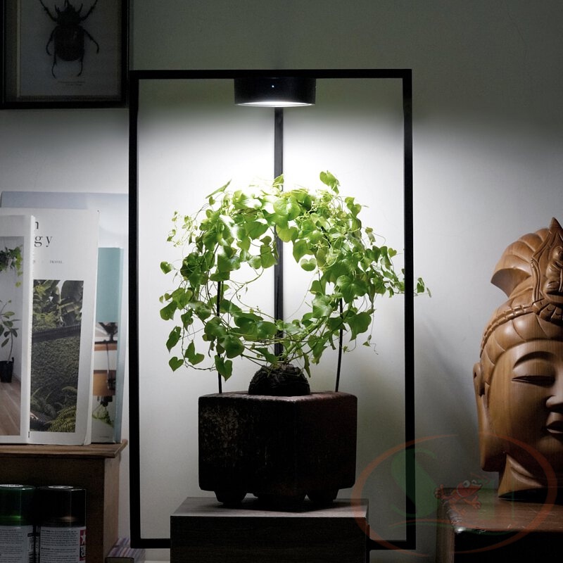 Đèn Trồng Cây ONF Mist O Magnetic Plant Light