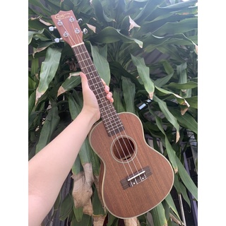 Đàn Ukulele Concert Gỗ Viền [Ảnh thật chính chủ]