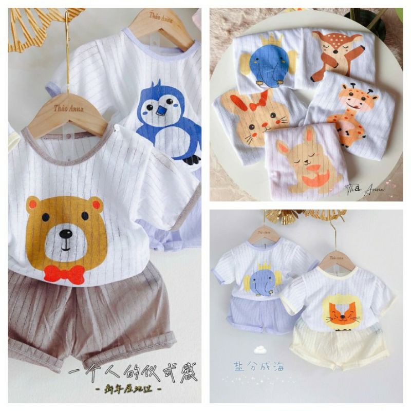 BỘ COTTON GIẤY CỘC TAY PHỐI HÌNH NGHỘ NGHĨNH CHO BÉ 6-15 KG