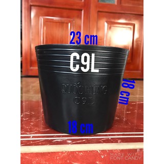 Chậu nhựa đen trồng cây C9L thương hiệu P.T ( dầy dặn )
