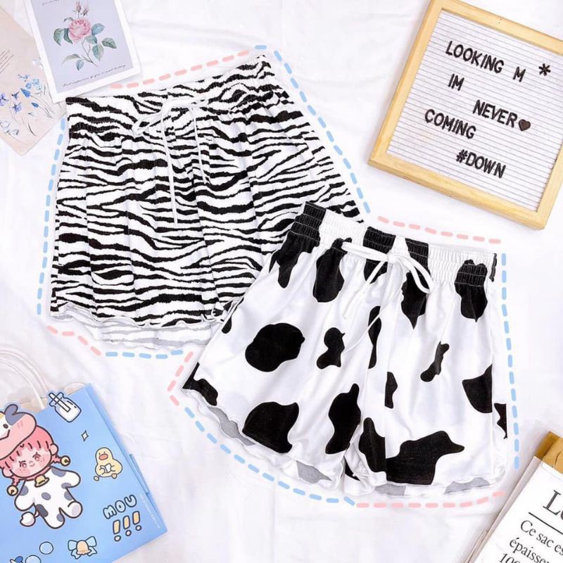 Quần Đùi Nữ Bò Sữa Hottrend Chất Cotton Cực Mát
