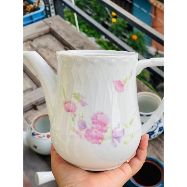 Ấm trà trồng sen đá