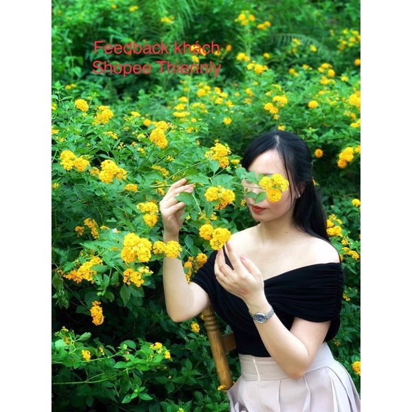 A0607 Áo vạt chéo ngực trễ vai