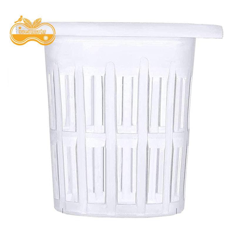 Bộ 50 Chậu Nhựa Trồng Cây Thủy Canh 2.7 Inch Màu Trắng