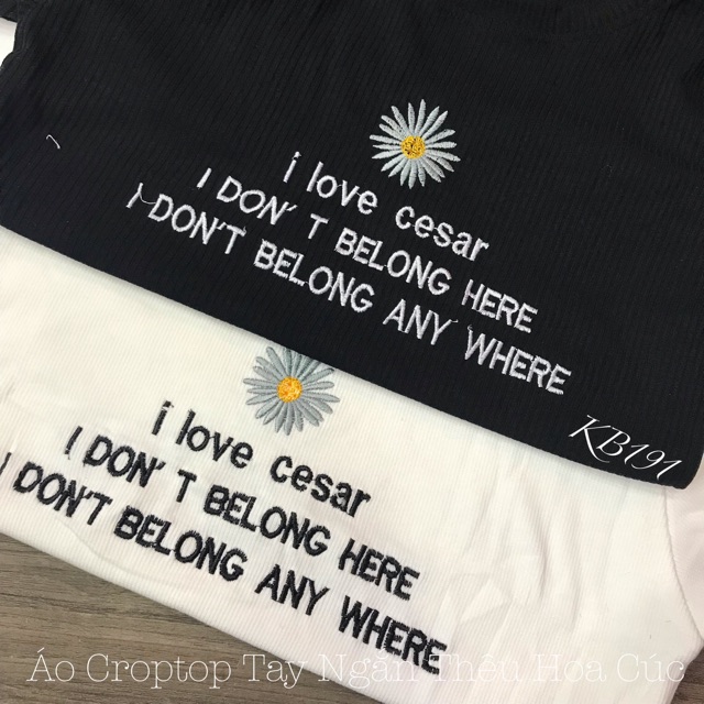 Áo Croptop Tay Ngắn Thêu Hoa Cúc + Chữ