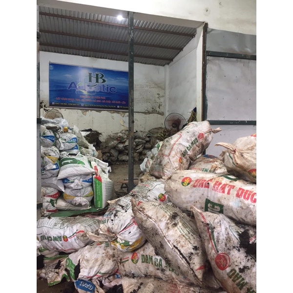 Combo 10kg Đá Đen Gia lai