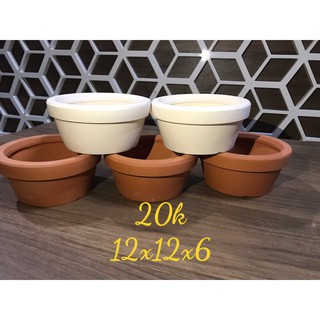 Chậu đất nung tròn thấp miệng rộng