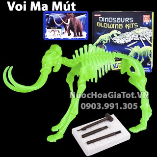 BỘ ĐỒ CHƠI KHẢO CỔ ĐÀO HÓA THẠCH 1 CON VOI MAMUT SIZE L 25CM CÓ DẠ QUANG