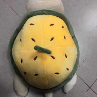 RÙA DƯA HẤU