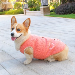 ۞áo cho thú cưng chó corgi dễ thương