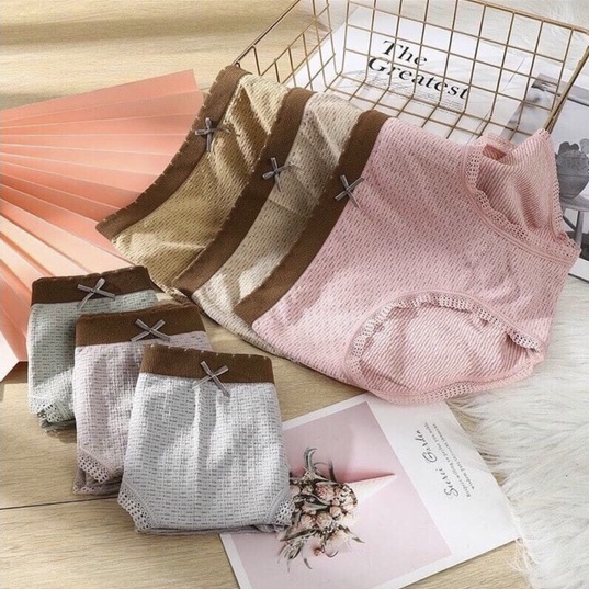 combo 5 chiếc quần lót nữ cotton thông hơi dệt kim cao cấp co dãn 4 chiều Q1