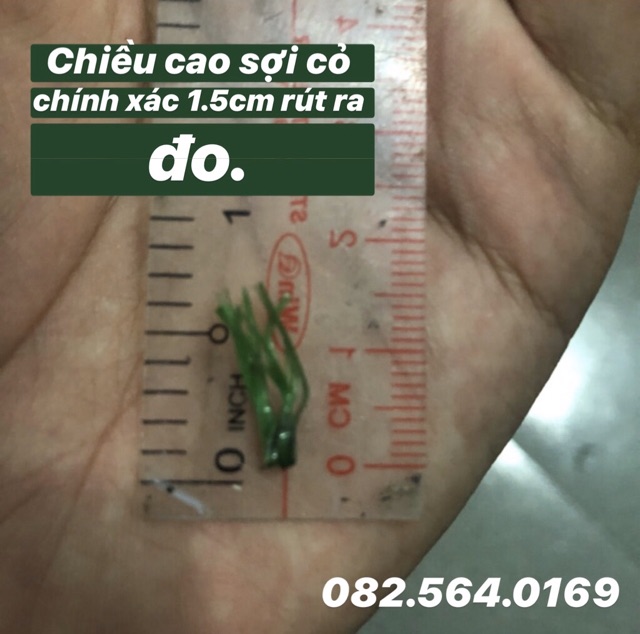 Combo 34m2 Thảm cỏ