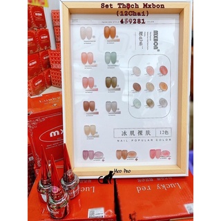 set sơn thạch Mxbon 12 màu (tặng kèm bảng màu)