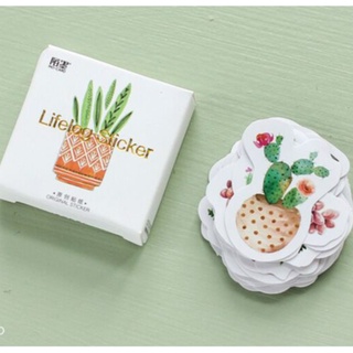 Hộp 45 miếng sticker mẫu các chậu xương rồng
