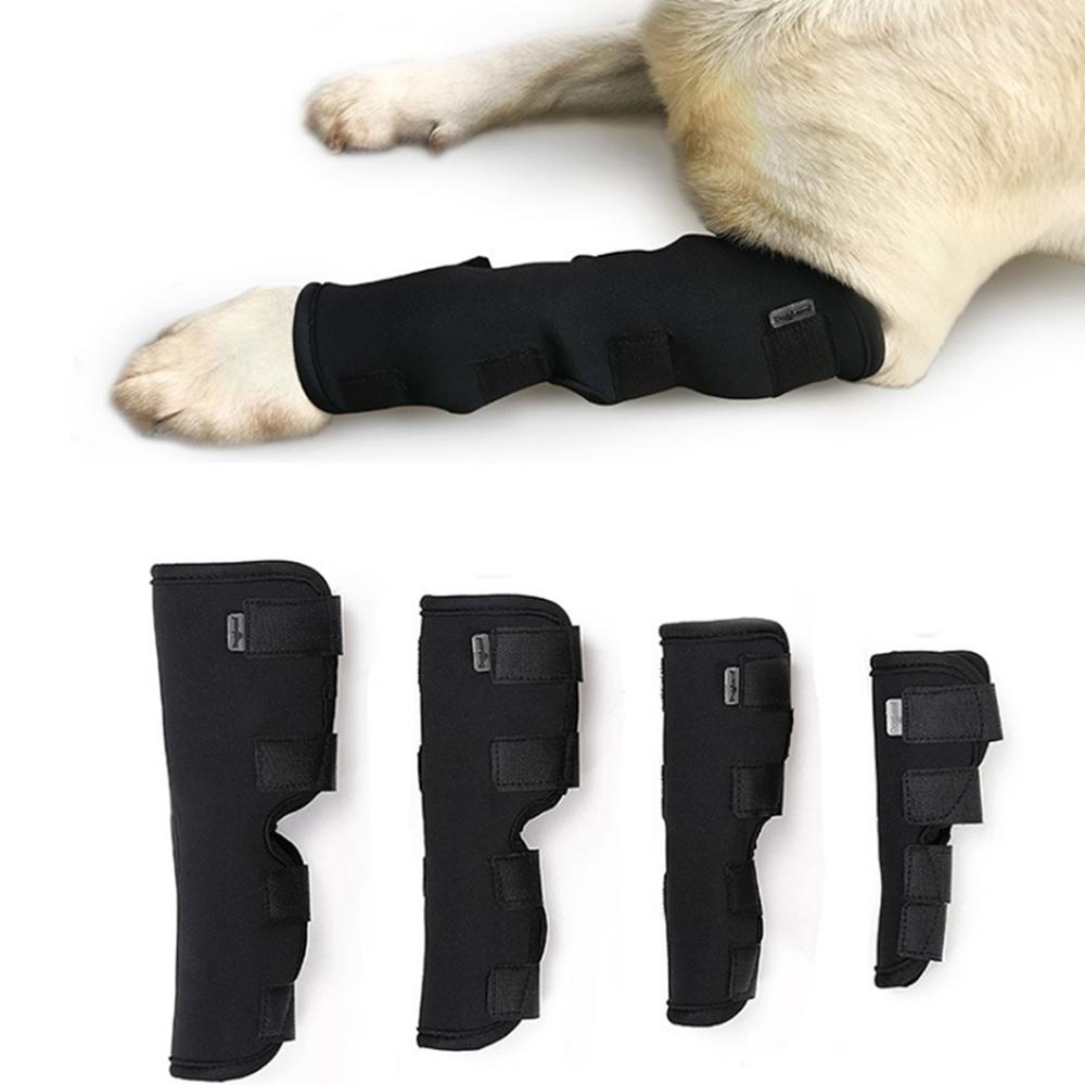 1 Đai Quấn Bảo Vệ Đầu Gối / Cổ Tay / Chân Cho Chó QUENTIN1BG