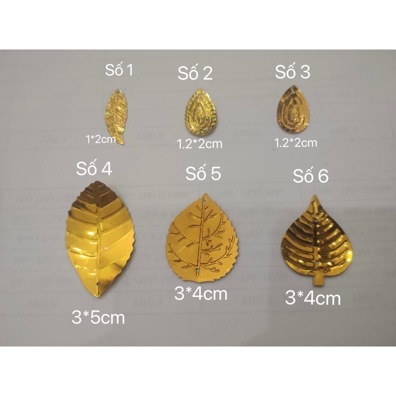 Lá đồng tiền ( 1 gói 100 gram)