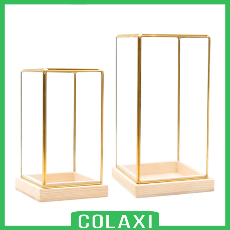 [COLAXI]Glass Display Case Decorative Cuboid Antique Artwork Showcase Terrarium