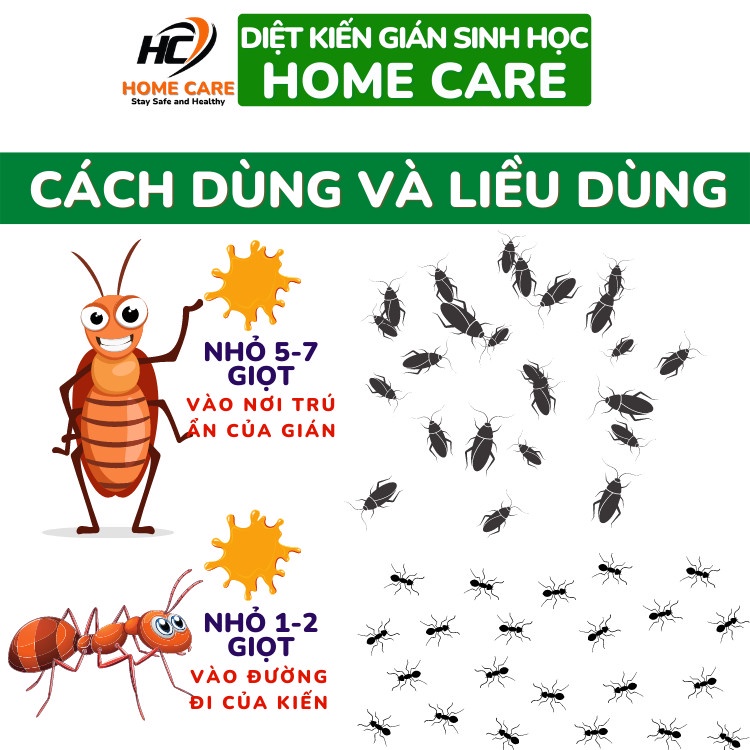 Thuốc Diệt Kiến Gián Sinh Học Home Care Diệt Tận Gốc Kiến Đen, Kiến Lửa, Kiến Hôi, Kiến Ba Khoang, Gián Đức, Gián Mỹ