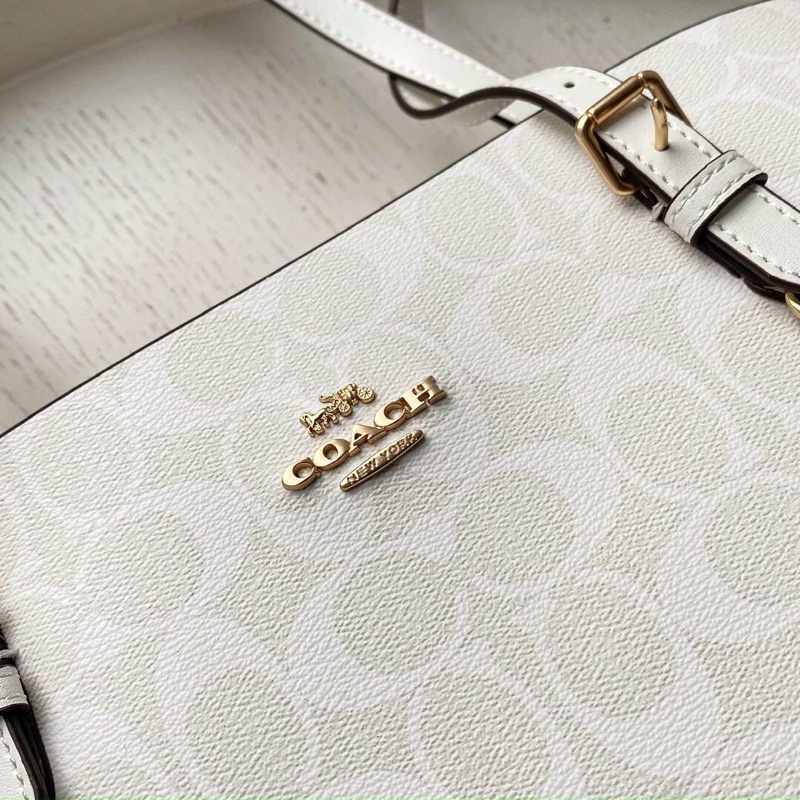 Túi coach mollie tote