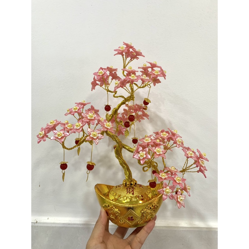 Chậu hoa bonsai - cây kiểng