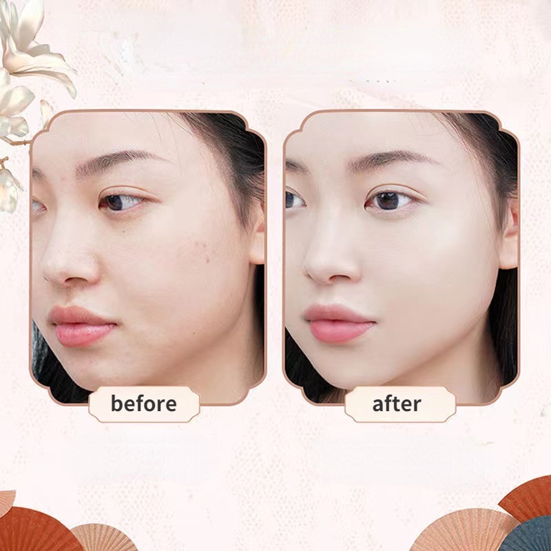 Vỏ Bọc Đệm Khí Hình Hoa Cho Hộp Đựng Phấn Nền