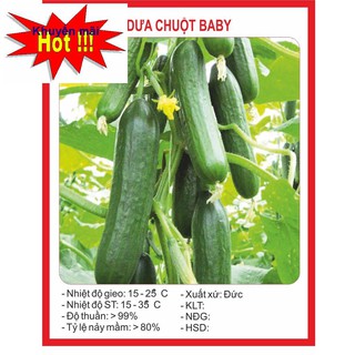 Hạt giống Dưa Chuột Chùm (Baby) 10 Hạt HOA RAU TRỒNG KỊP TẾT