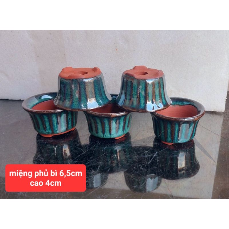 Chậu gốm nhỏ trồng sen đá mini