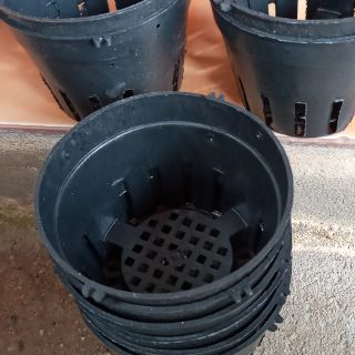 Chậu trồng lan phi 16cm đen giá xả kho