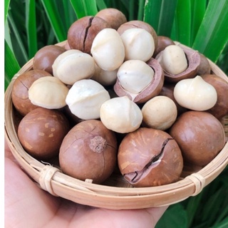 500GRAM HẠT MACCA DAKLAK NỨT VỎ SẤY CHÍN CHUẨN SẠCH