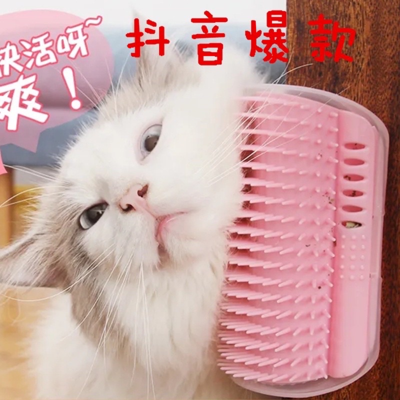 Cọ masage chó mèo gắn tường tặng kèm catnip phê pha
