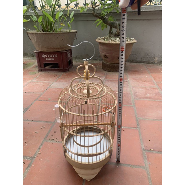 Lồng chim vành khuyên chim hút mật  đường kính 22cm