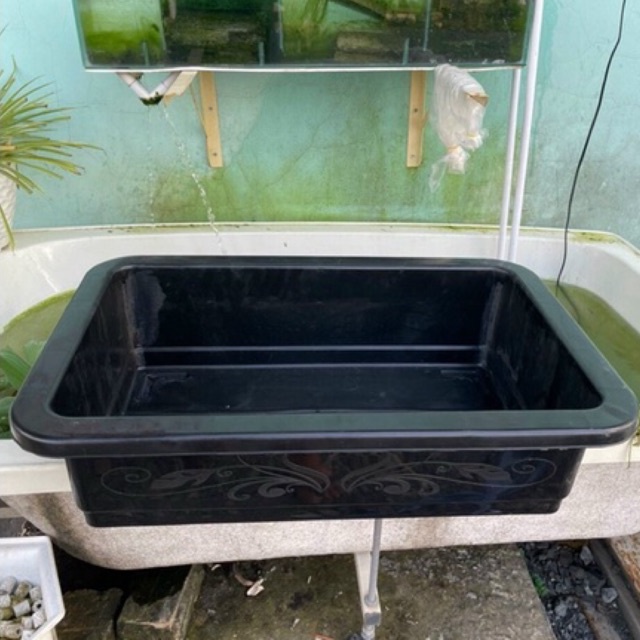 Chậu trồng rau kèm lưới lót - Khay mầm trồng rau sạch thông minh có lưới lót. 65x41x17cm