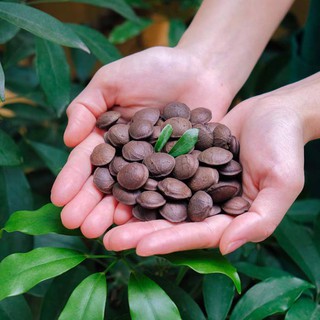 HẠT SACHI DAKLAK Loại 1
