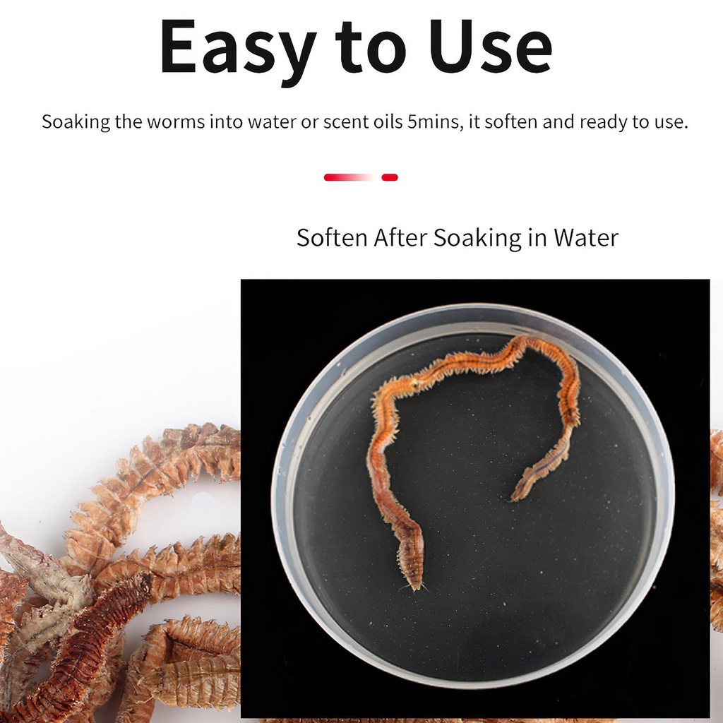 [Kitch] Mồi Câu Cá Khô Cát Tự Nhiên Thân Thiện Với Môi Trường Dễ Sử Dụng