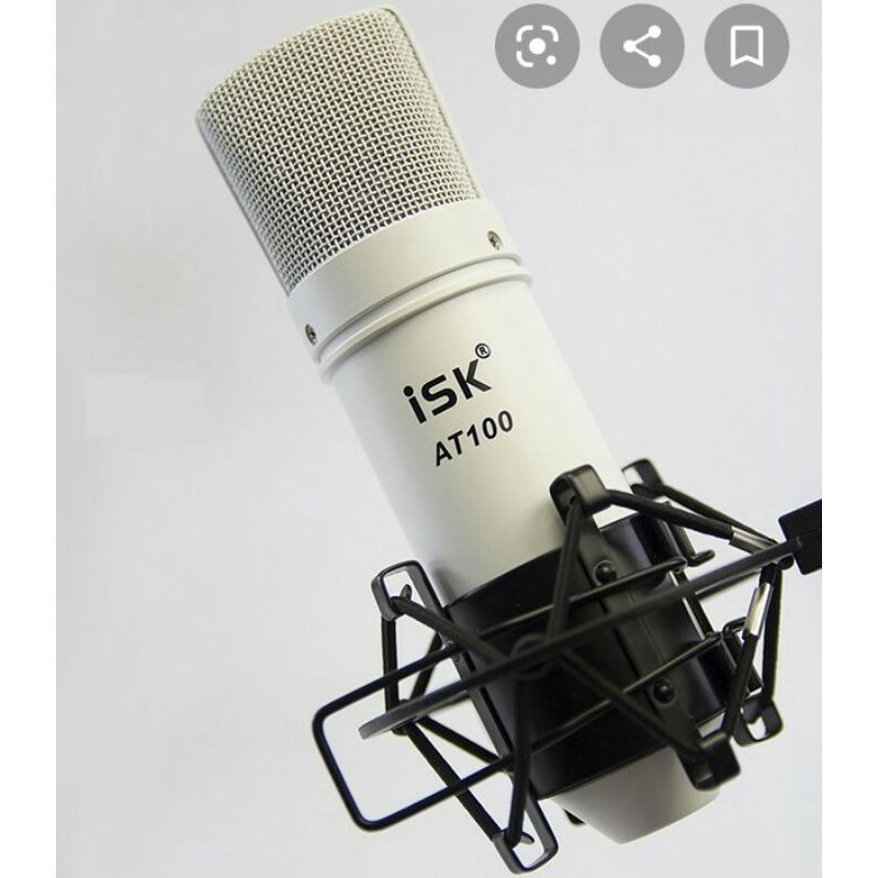 Mic isk AT100 loại 1 (mic Hoa Vinh)