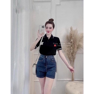 Áo thun cổ bẻ bigsize 65-90kg