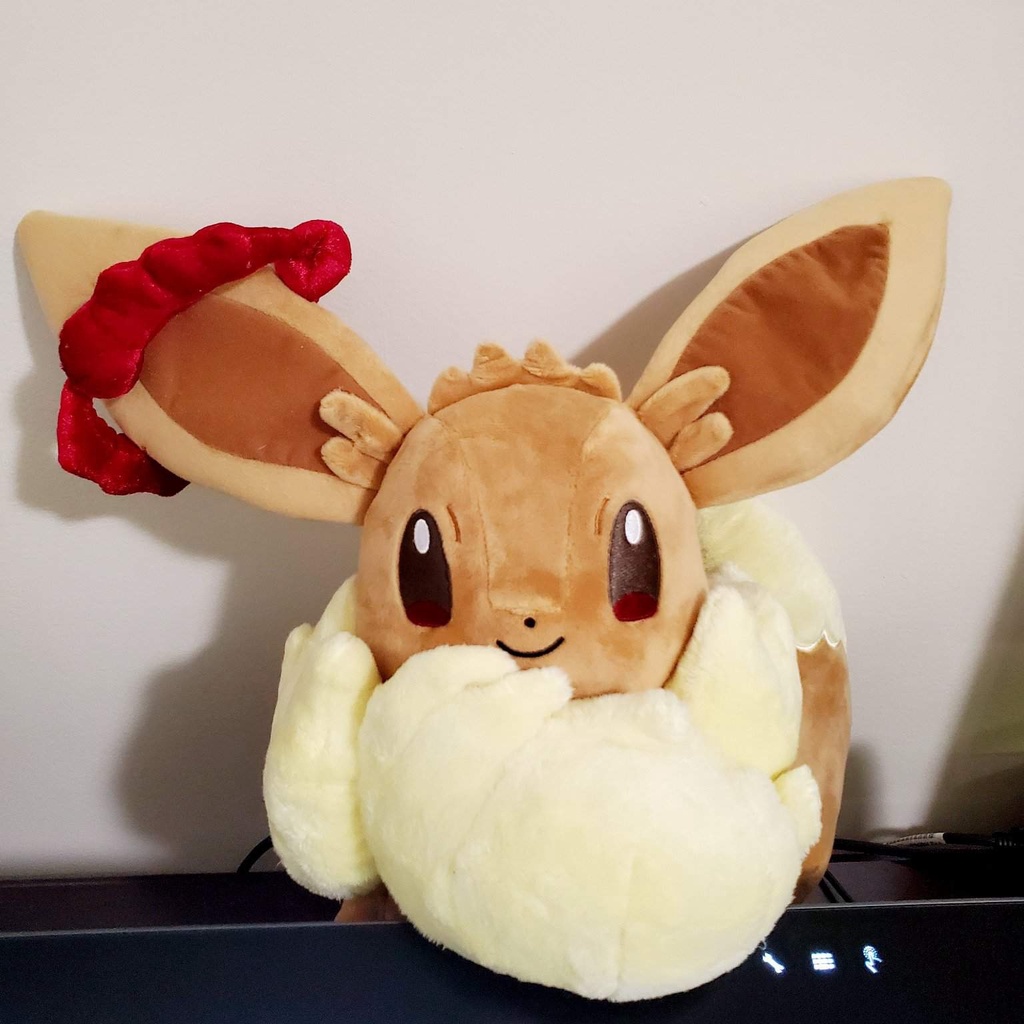 Gấu bông Hà đông