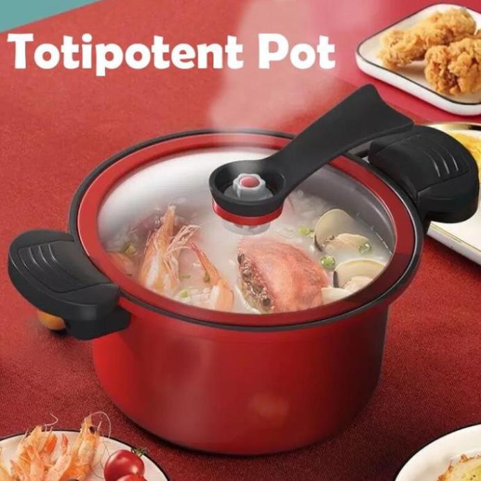 Nồi áp suất Totipotent Pot cao cấp đun cả được bếp ga và bếp từ
