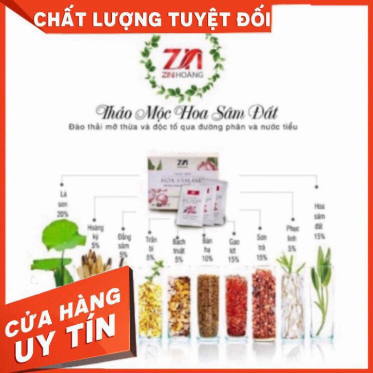 TRÀ THẢO MỘC HOA SÂM ĐẤT