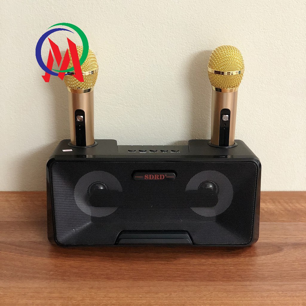 Loa Karaoke SDRD SD-301 kèm 2 mic không dây