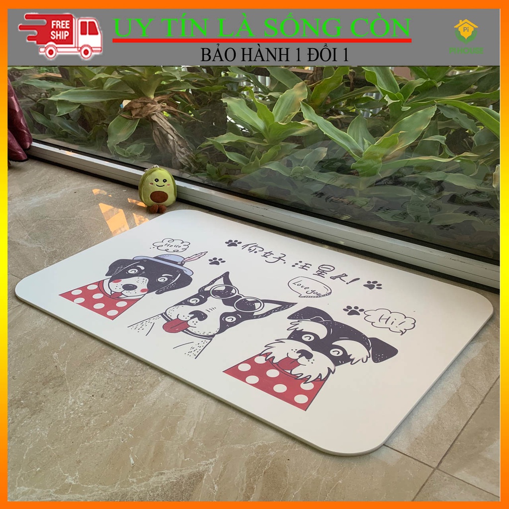 [ĐẸP-RẺ-XỊN] Thảm đá chùi chân cao cấp, siêu thấm, chống trượt, đa dạng mẫu mã