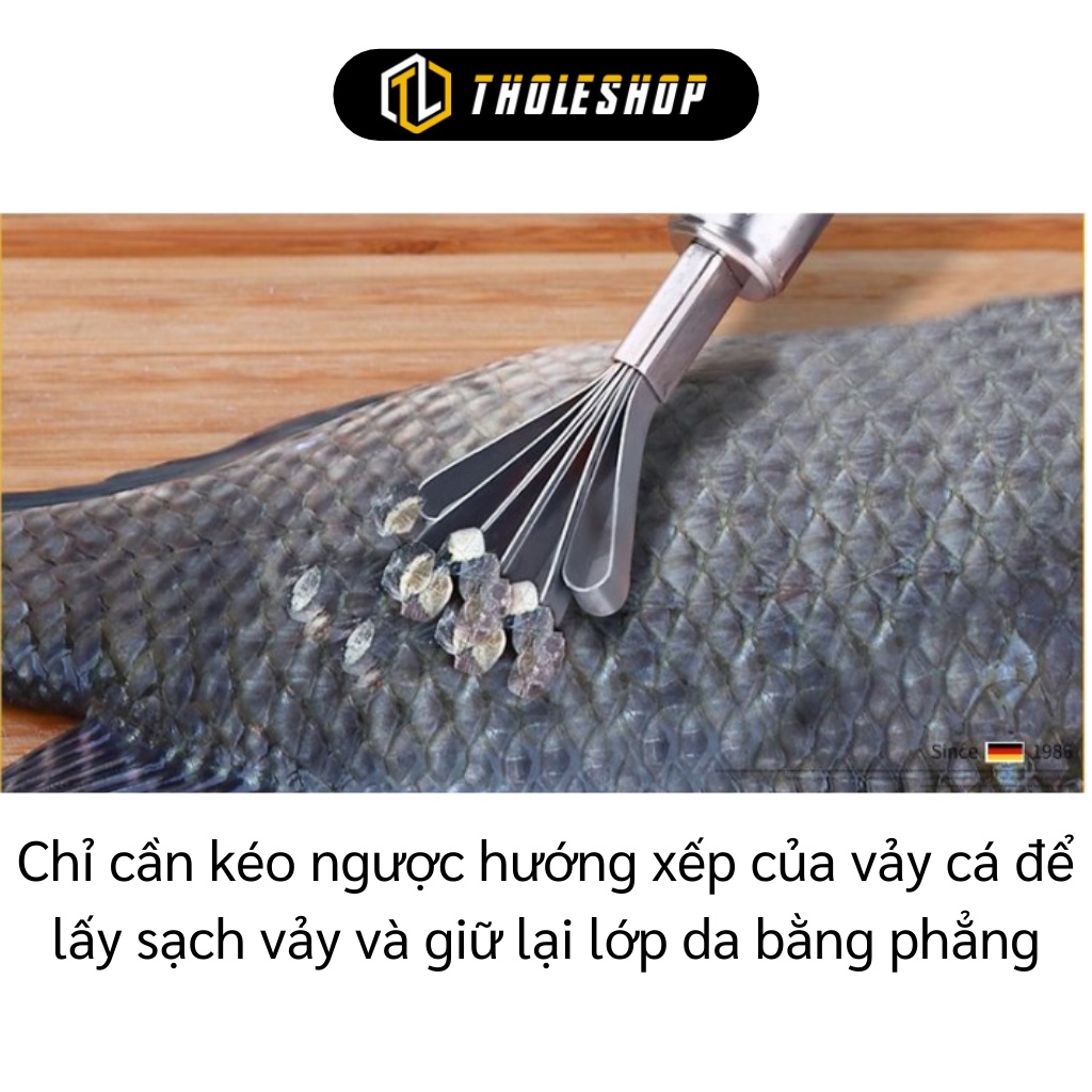 Đánh Vảy Cá - Dụng Cụ Nạo Dừa Đa Năng 2in1 Siêu Tốc 5 Rãnh Tròn, Inox 304 Tiện Dụng 3176