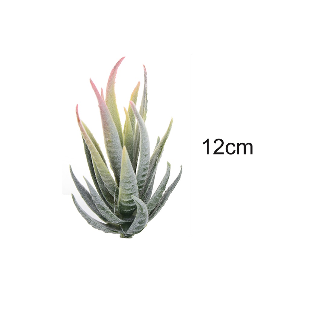 Chậu cây lô hội nhân tạo trang trí bàn DIY tiện lợi