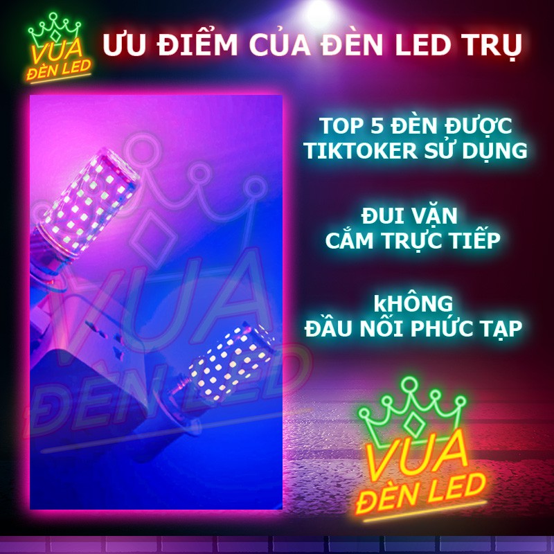 Đèn Led Neon trang trí, Hỗ trợ ánh sáng Quay Video, Chụp Ảnh, Combo đèn + đui cắm trực tiếp , Màu Xanh Dương, Hồng