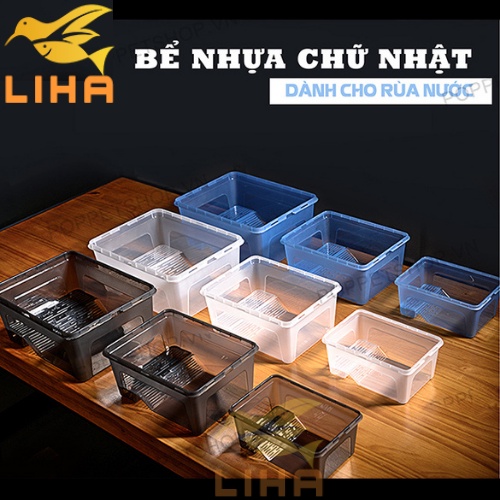 Hộp Nuôi Rùa Nước - Chậu Nhựa Nuôi Rùa Để Bàn