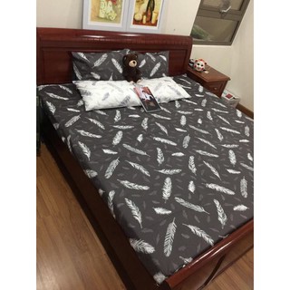 Ga chun trơn+ gối cotton lụa Hàn Quốc