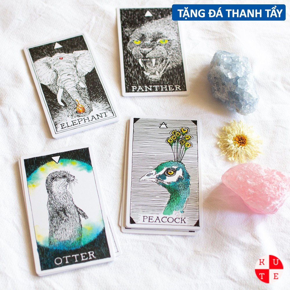 Bài Oracle The Wild Unknown Animal Spirit 63 Lá Bài Tặng File Tiếng Anh Và Đá Thanh Tẩy C18