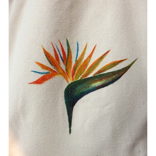 TÚI CANVAS VẼ THỦ CÔNG 22