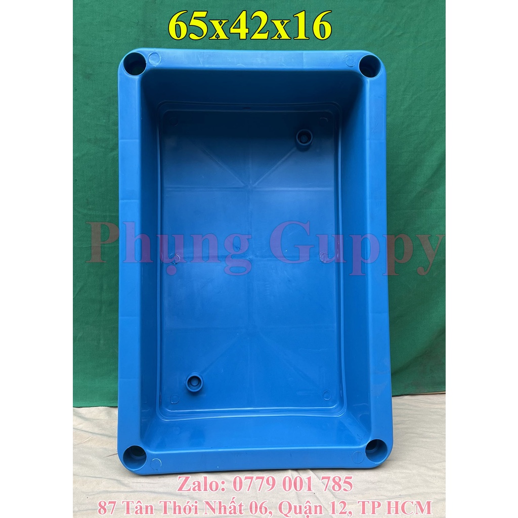 Khay Nhựa Xanh Xếp Tầng Nuôi Cá, Trồng Rau 65x42x16 (Không kèm chân)