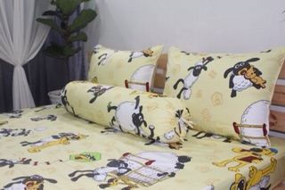 Bộ drap cotton 100%